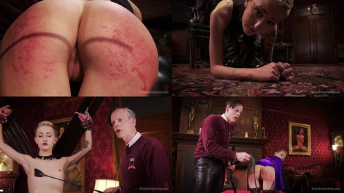 02 0537204 ImpactPlay