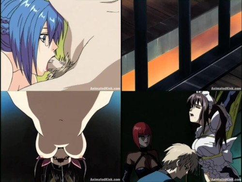 04 0930727 Pigeons Blood