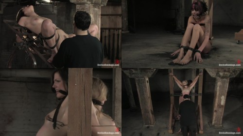 4909 bobbi sarah kayden