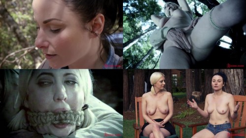 09 1139019 deception