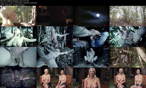 09 1139019 deception