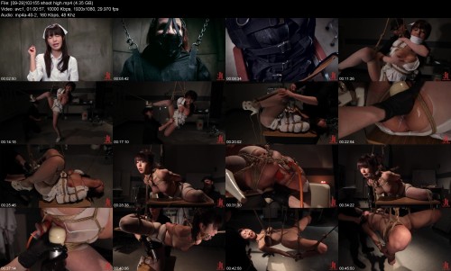 09 29103155 shoot high