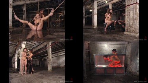 10 3143941 isabella isis archibalremaster