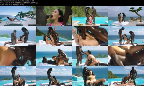 The Hot Wife Abroad BLACKED