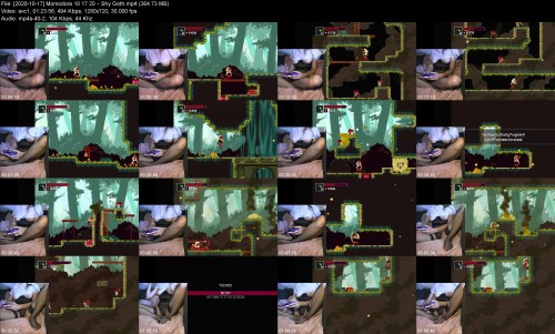 2020 10 17 Momodora 10 17 20 Shy Goth