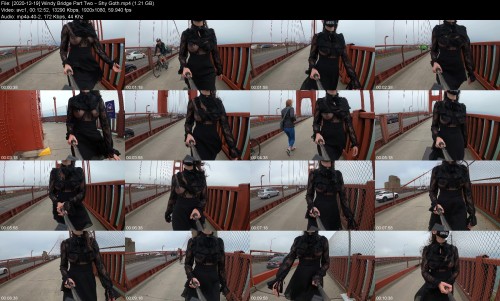 2020 12 19 Windy Bridge Part Two Shy Goth