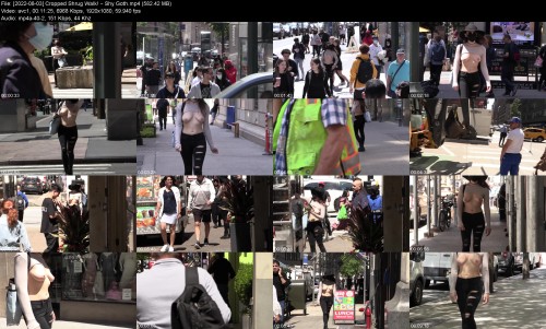 2022 08 03 Cropped Shrug Walk Shy Goth