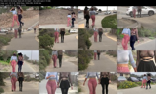 2022 12 30 Sheer Walk with Oli Heart Shy Goth