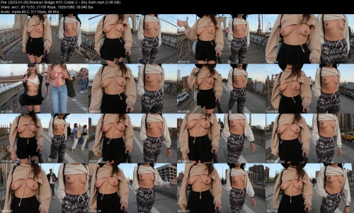 2023 01 20 Brooklyn Bridge NYC Collab 2 Shy Goth