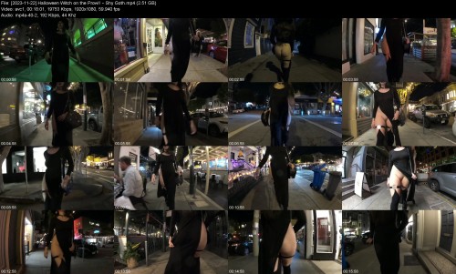 2023 11 22 Halloween Witch on the Prowl Shy Goth