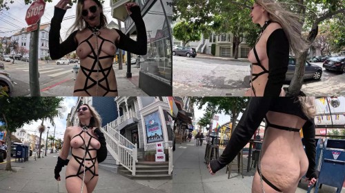 2024 06 12 Leashed and Walked through the streets Shy Goth