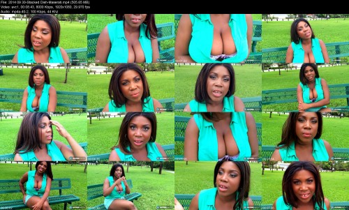 2014.09.30 Stacked Dish Maserati