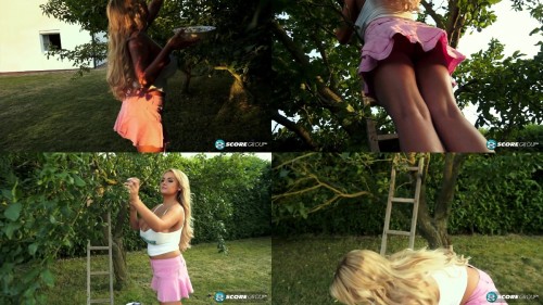 2015.11.29 A Plum Pair Katie Thornton