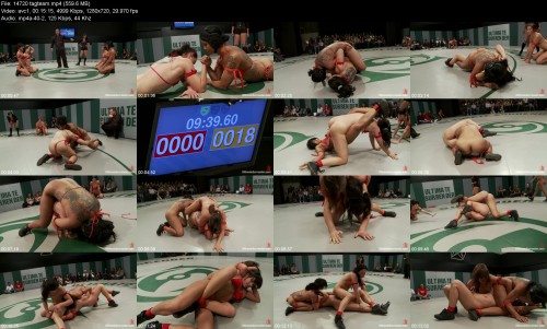14720_tagteam04eda7bad562c27f.jpeg