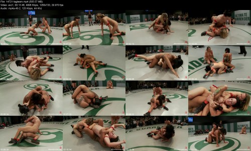 14721_tagteam2ed6c5e19c262395.jpeg