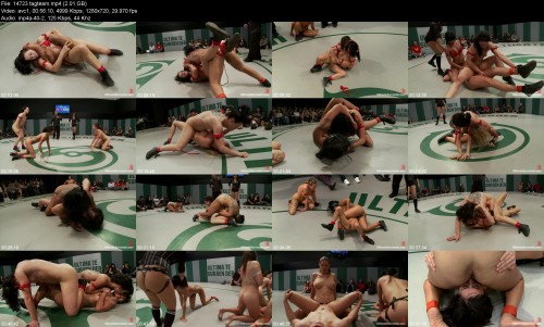 14723_tagteam220582fbba277067.jpeg
