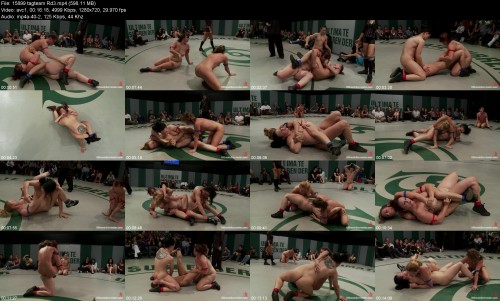 15899_tagteam_Rd3329fea8363bb9710.jpeg