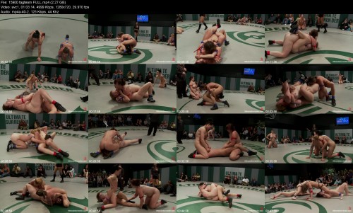 15900_tagteam_FULL8ed0e58ad1414b0a.jpeg