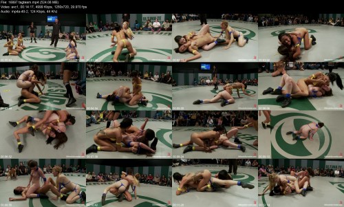 16897_tagteam34de670c71a53378.jpeg