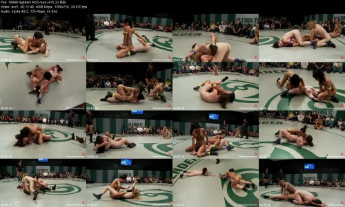 16899_tagteam_Rd3541455135cf8c95e.jpeg