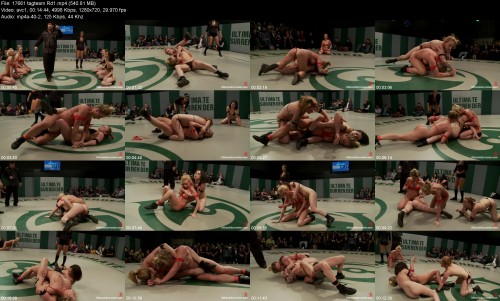 17661_tagteam_Rd15d5964e32ea3f002.jpeg