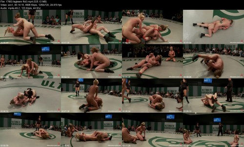 17663_tagteam_Rd3946b11c55e36db1e.jpeg