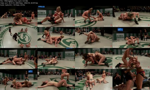17664_tagteam_FULL4f8e338ed9c28051.jpeg