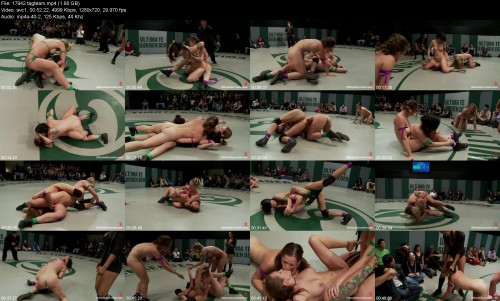 17942_tagteam2bb1359a74dc8c0d.jpeg