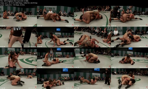 19574_tagteam_Rd359983a723492a50f.jpeg