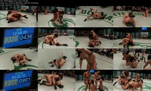 19575_tagteam_FULLe6a6e0bfd54184aa.jpeg