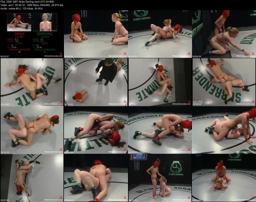2006_3667_Ninja_Darling3d237dbfc5fca332.jpeg