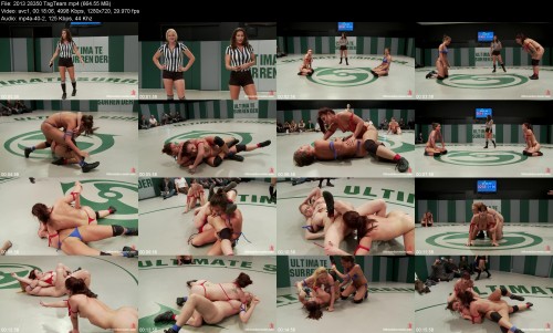 2013_28350_TagTeam991ff37ee1efbb38.jpeg
