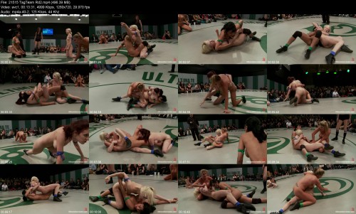 21515_TagTeam_Rd28a34474c738d8746.jpeg