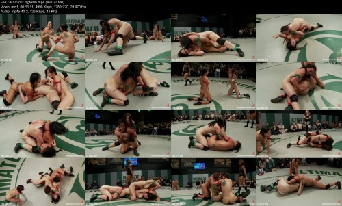 26235_rd2_tagteam86d7d61ae9896f26.jpeg