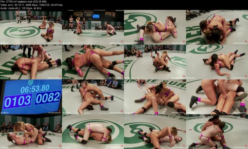 27795_rd1_tagteam549f5021ff966145.jpeg
