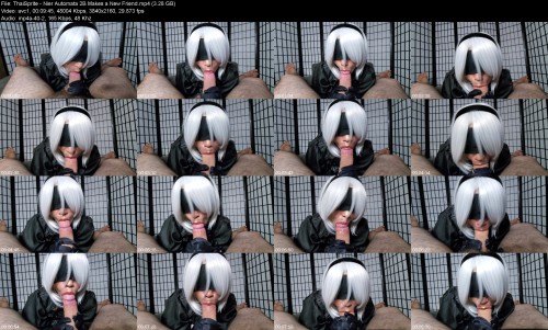 ThaiSprite_-_Nier_Automata_2B_Makes_a_New_Friend6ace8b5b059c3209.jpeg