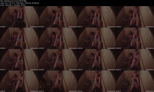 czechsauna.01f559fc787805d4b2.jpeg