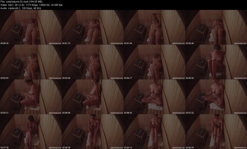 czechsauna.0394de555cabb2416f.jpeg