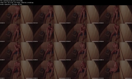 czechsauna.063ccb784078221a90.jpeg
