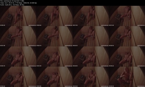 czechsauna.10a9fc12c8ce9a6152.jpeg