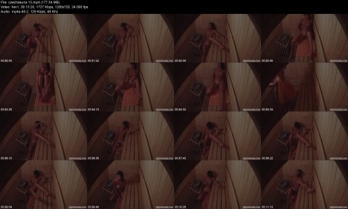 czechsauna.136e8a0f6c5712be67.jpeg