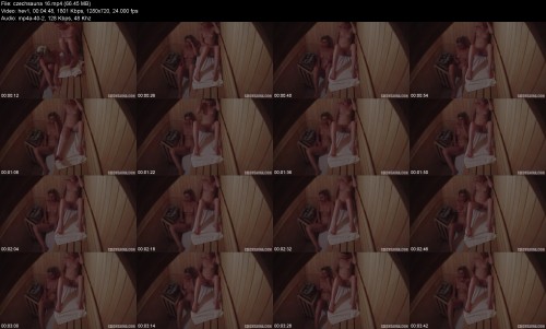 czechsauna.16a7bf78631bd3e20c.jpeg