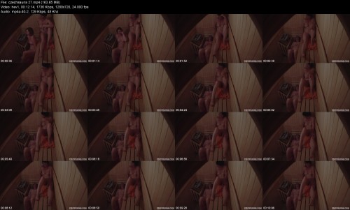 czechsauna.27ea3dc977b67cc715.jpeg