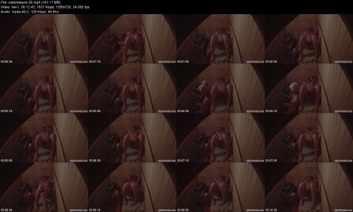 czechsauna.36551334f859bb7228.jpeg