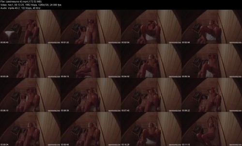 czechsauna.43f820a8c2c9017a4b.jpeg