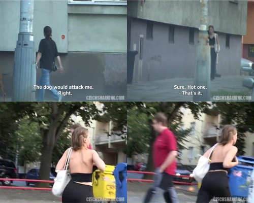 czechsharking.01.jpeg