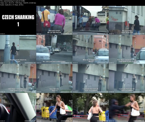 czechsharking.018c2cc5b493782646.jpeg