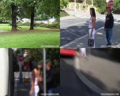 czechsharking.02.jpeg