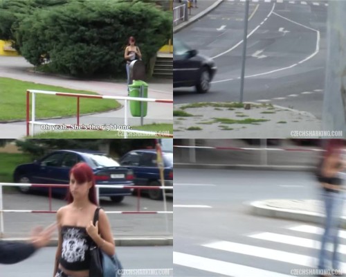 czechsharking.04.jpeg