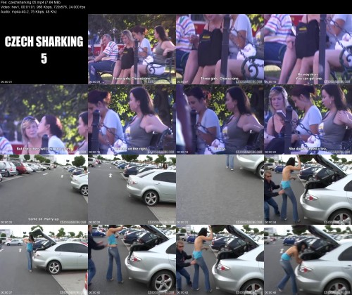 czechsharking.059dcf30ea77836135.jpeg